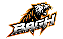 Bagh Live-logo